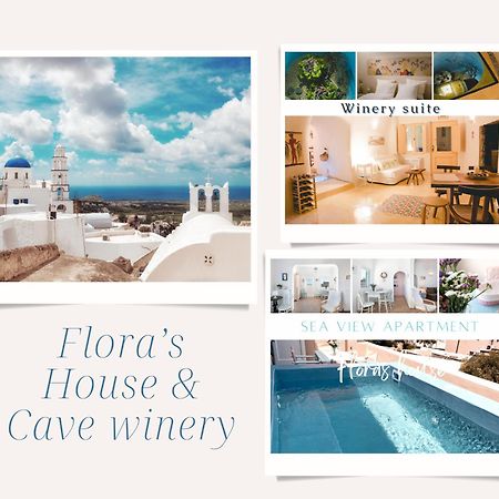 Flora'S House & Cave Winery Villa Pýrgos Exteriör bild